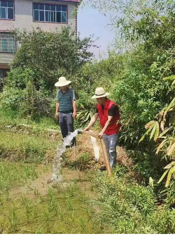 圖片1.png